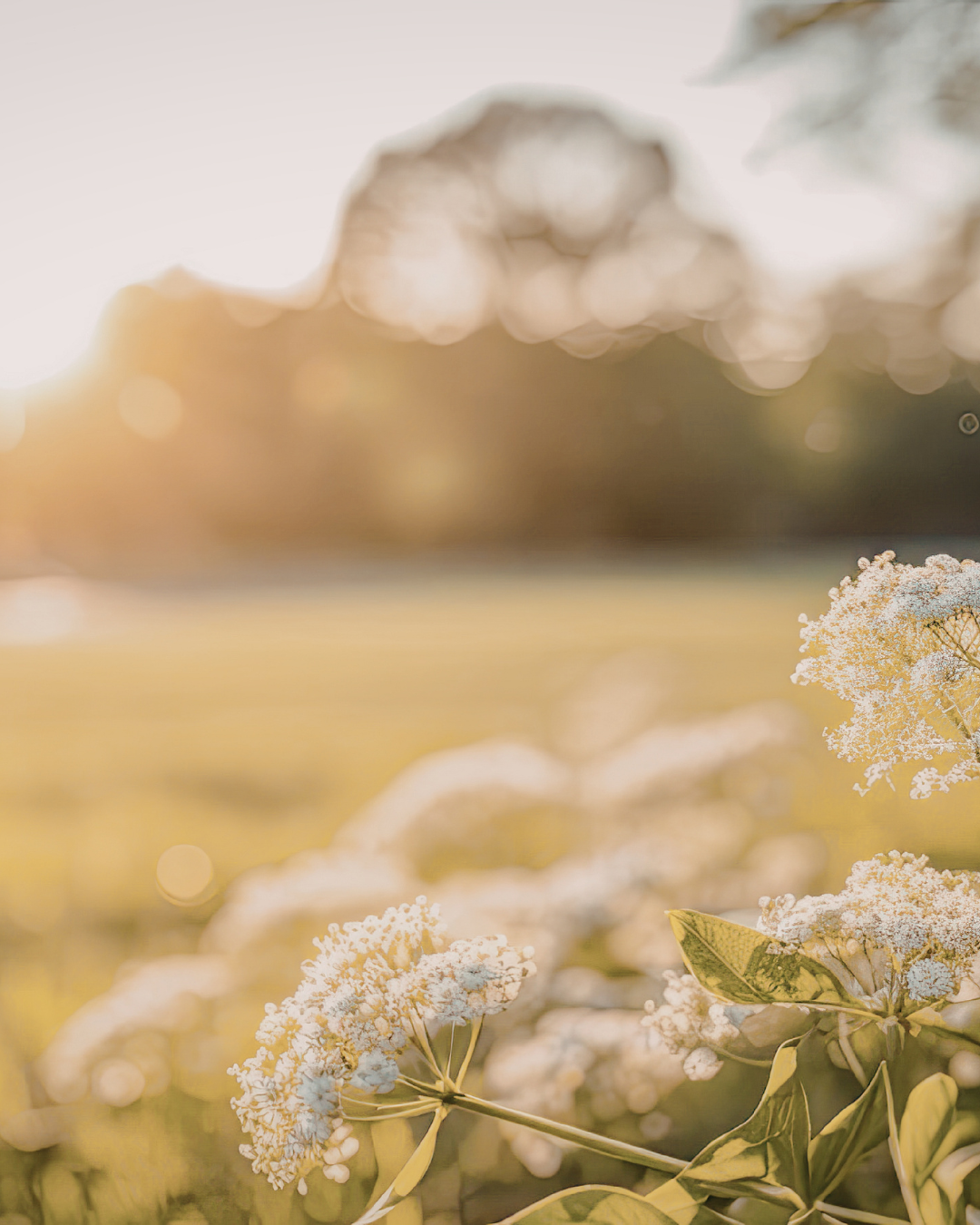 Online hypnotherapy sessions available across the UK for anxiety and confidence