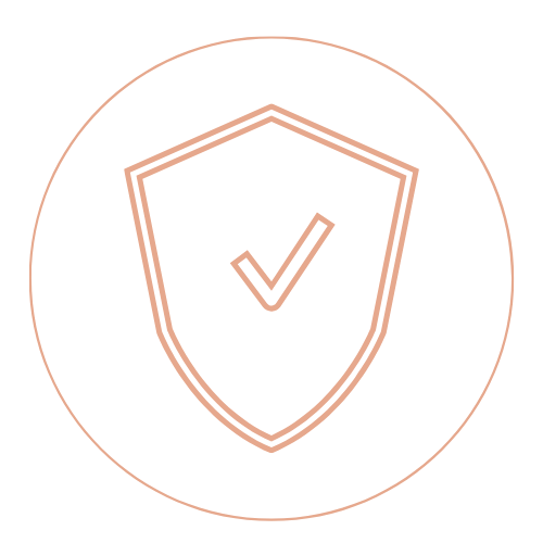 Professional-standards-icon