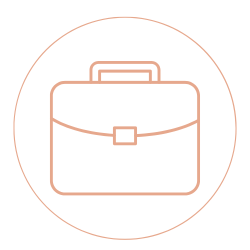 professional-experience-Icon