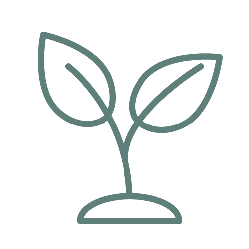 Growing plant icon representing personal growth, self-discovery and creating meaningful change through counselling.