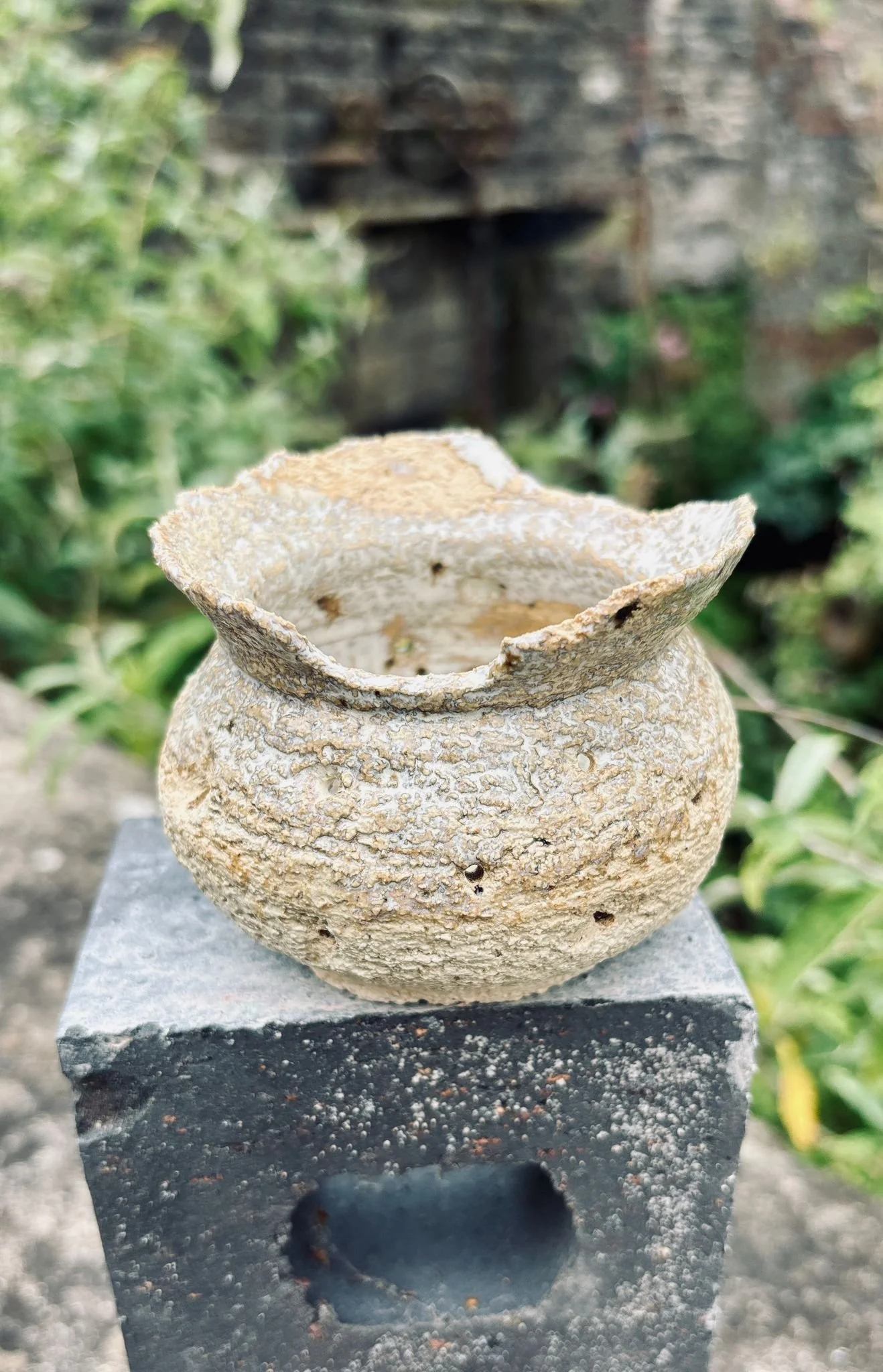 Plant pot (1)
