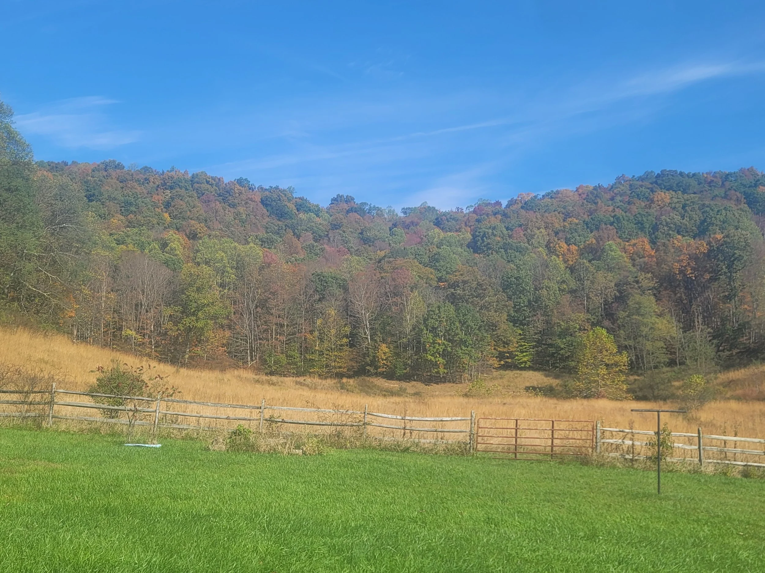 Koontz Hollow Ridge in fall with colored leaves