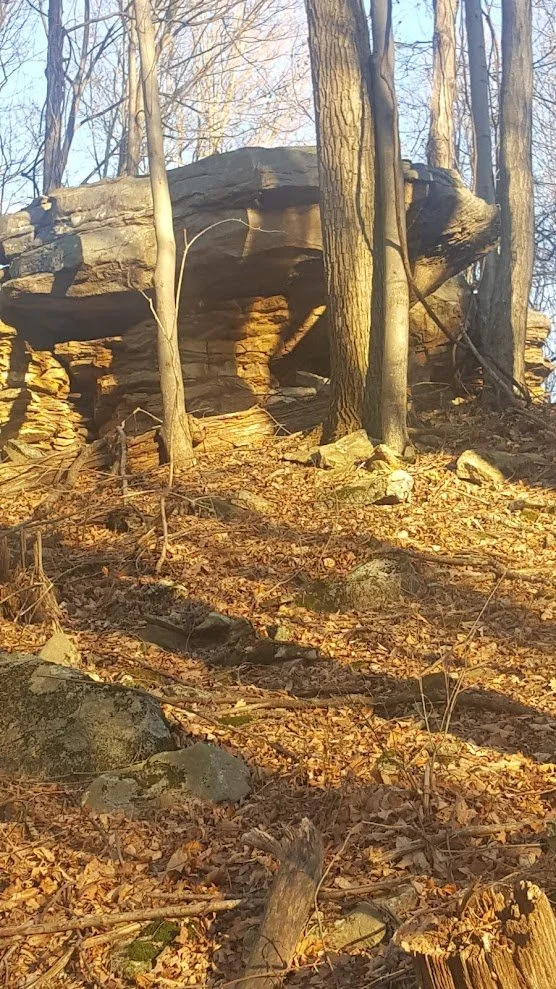 Closeup of Wildcat Rock on Koontz Hollow Ridge close up of side opposites shelter area