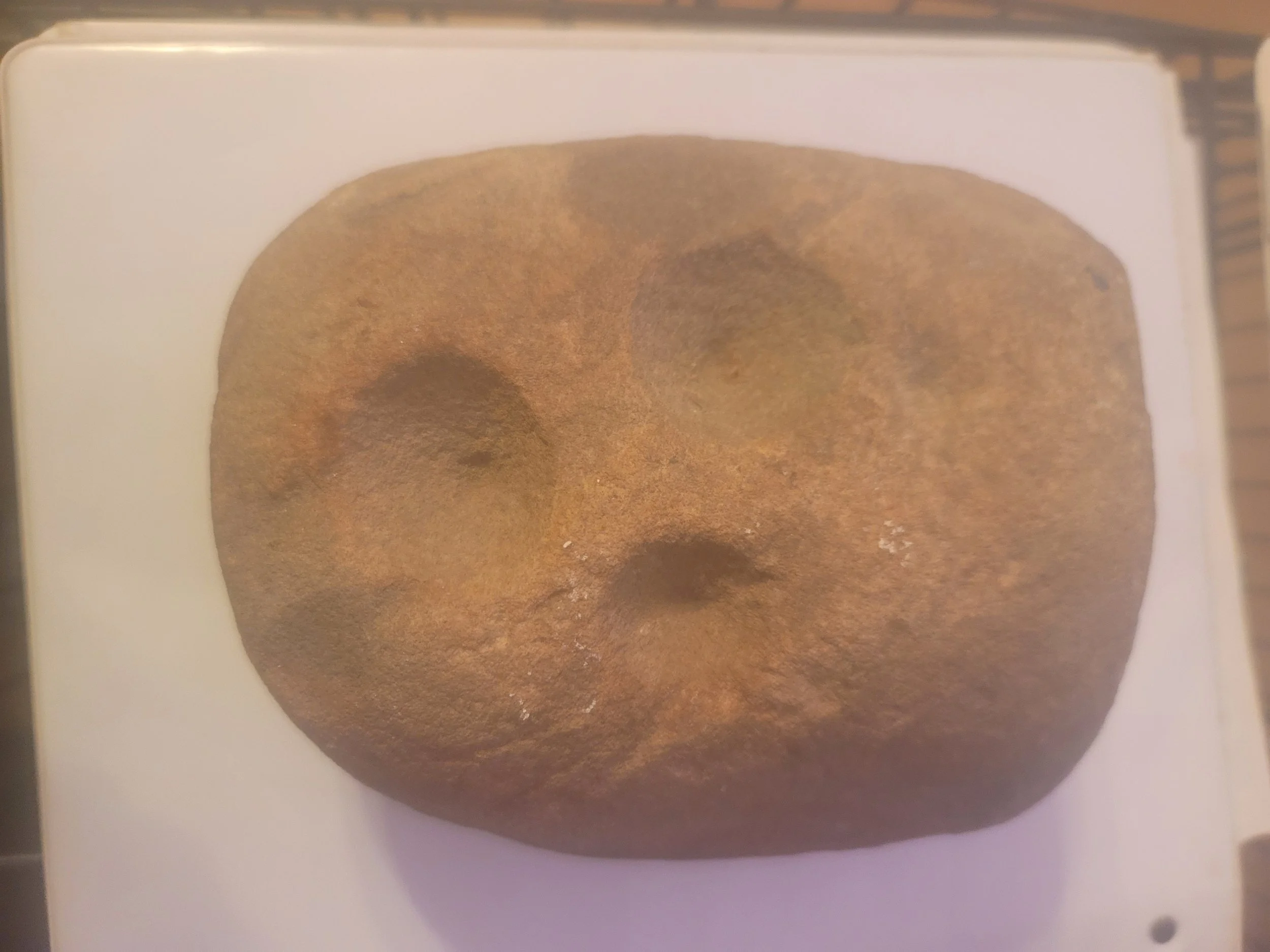 Prehistoric nutting stone used for food processing by Indigenous peoples of the Eastern Woodland tradition.
