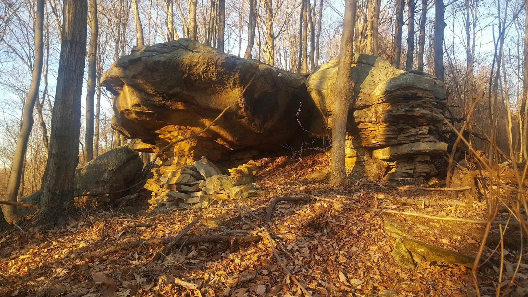 View of wildcat rock shelter and overlook, with cave area visible