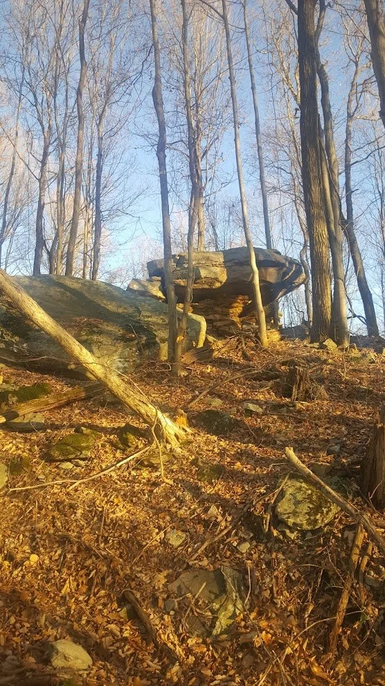 Wildcat rock along Koontz Hollow ridge showing side opposite the shelter area
