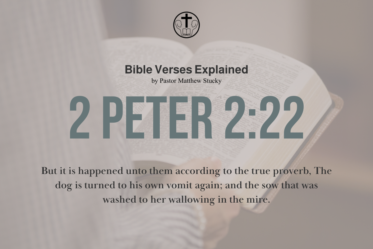 2 Peter 2:22 - Explained