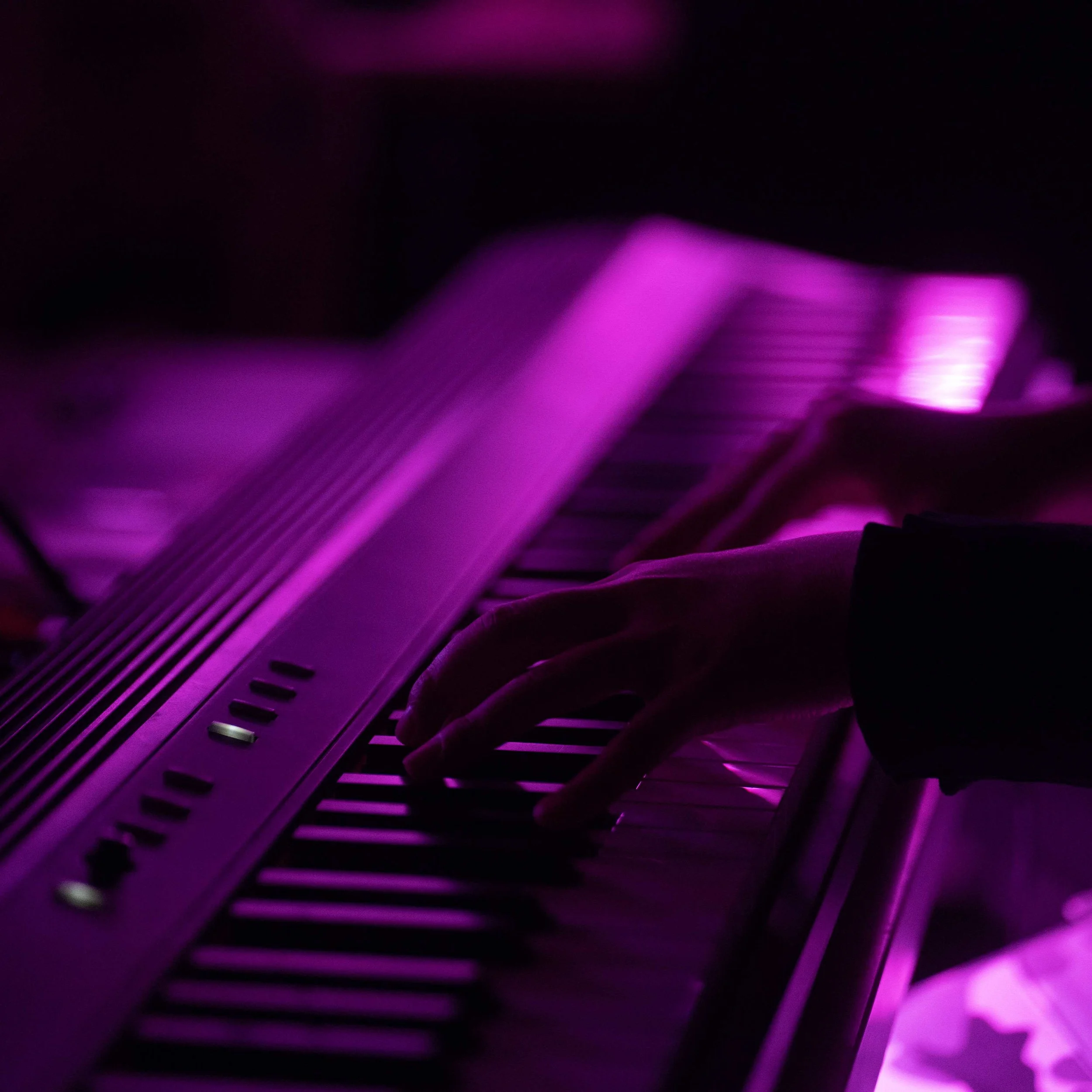 Close-up of a piano keyboard and the hands of an emerging musician at a What Does Not music night, illuminated with purple and pink lights.