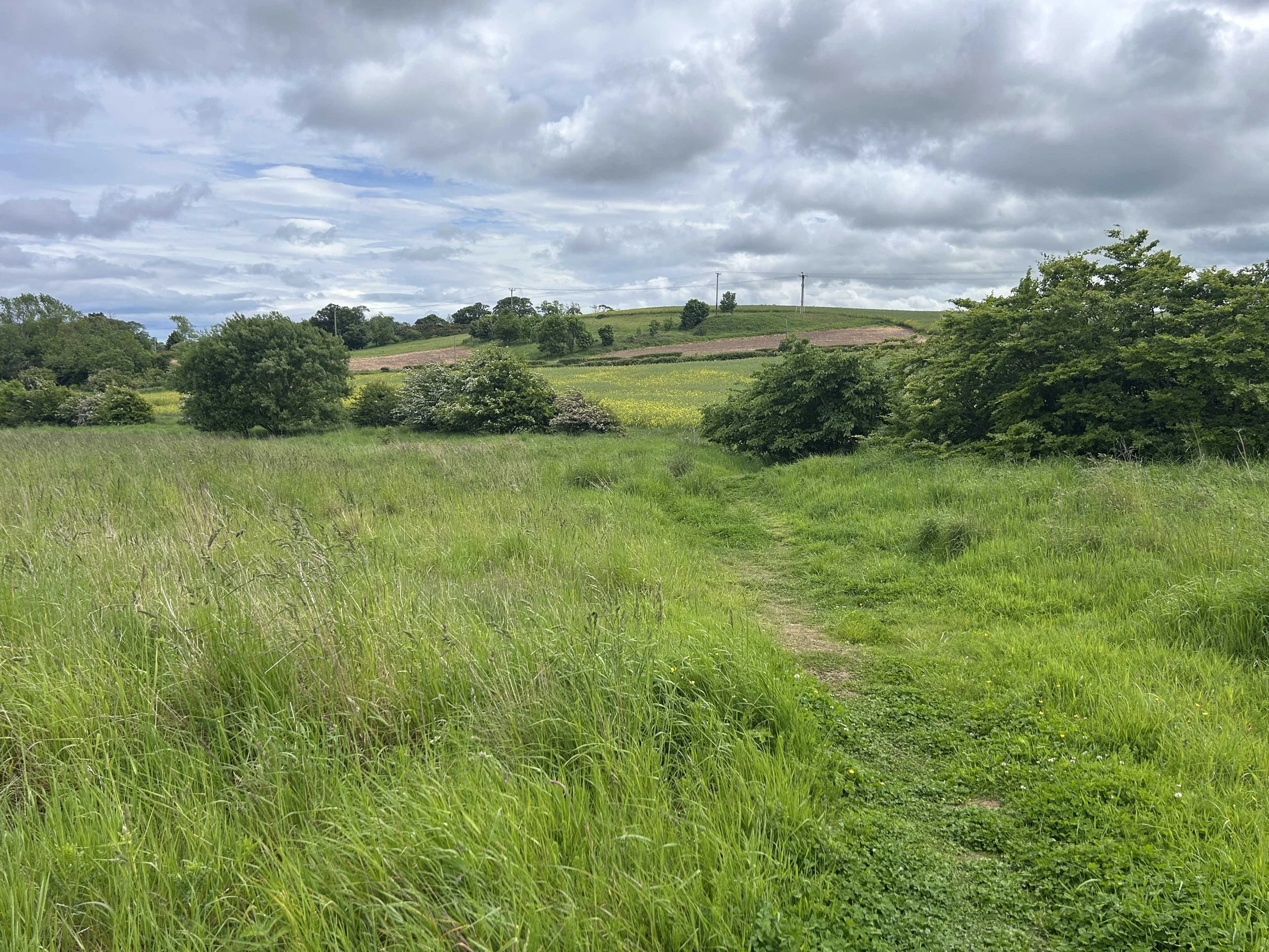 Image of existing Acredale site in Eyemouth