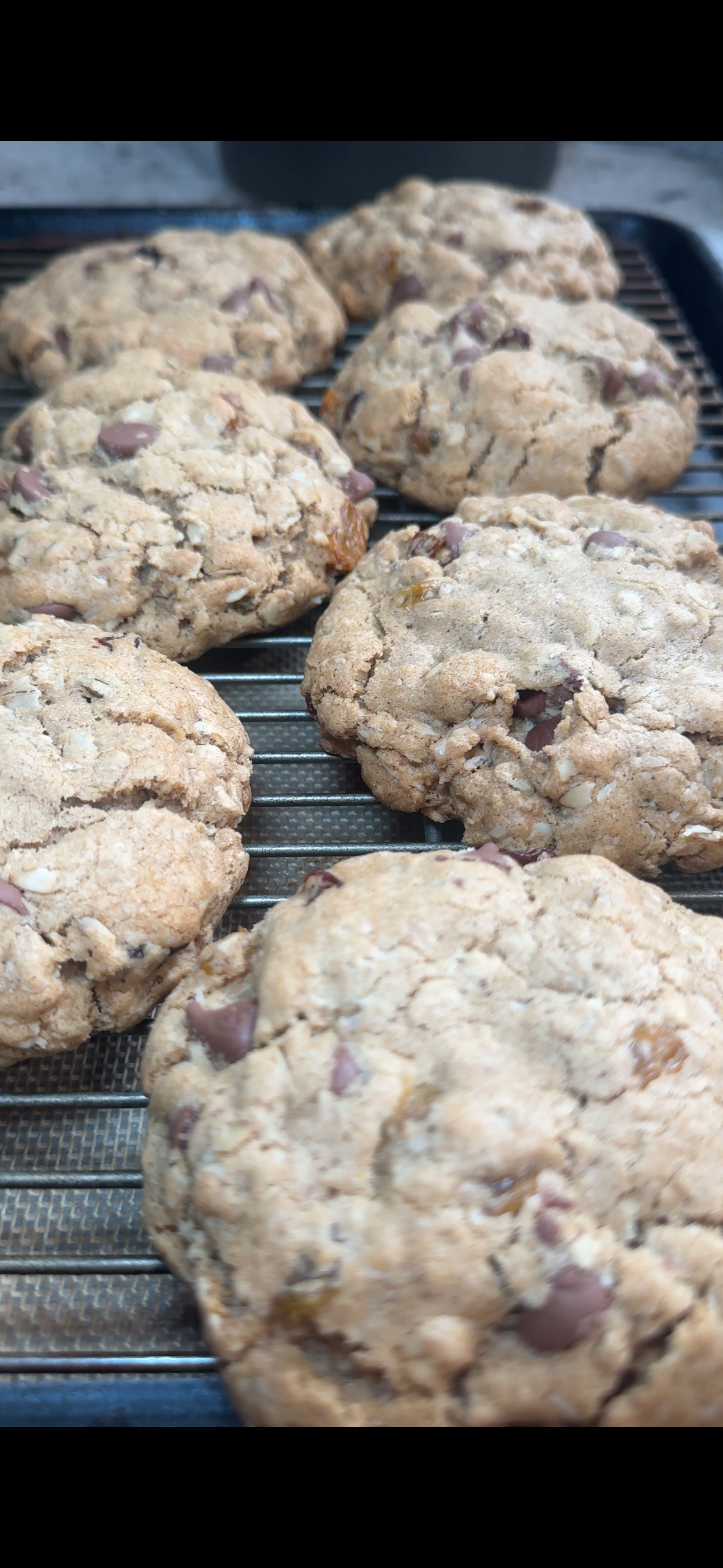 Jumbo Oatmeal Raisin Chocolate Chip Cookie