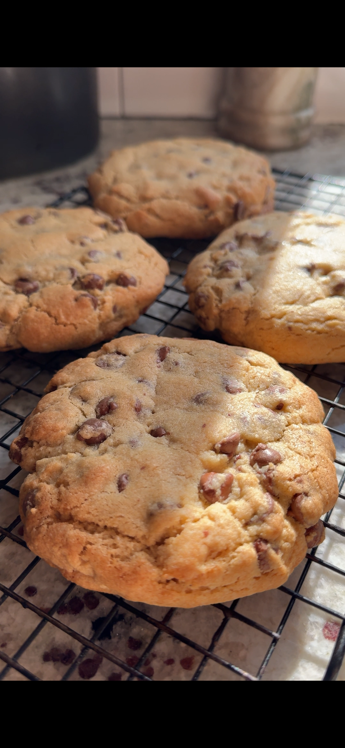 Jumbo Chocolate Chip Cookie