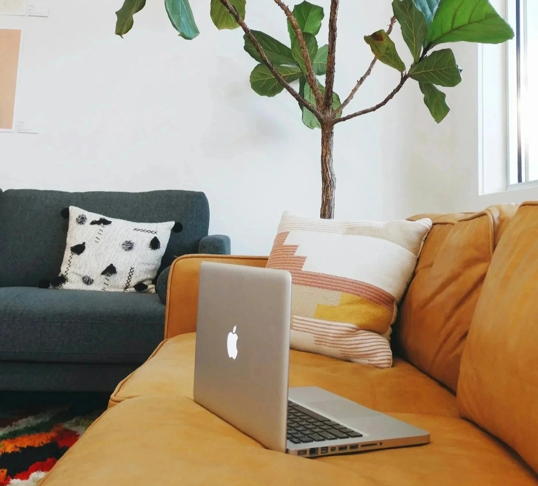 Cozy living room with a mustard yellow sofa, a green armchair with a decorative pillow, a large leafy indoor tree, a laptop on the sofa, and a window letting in natural light.