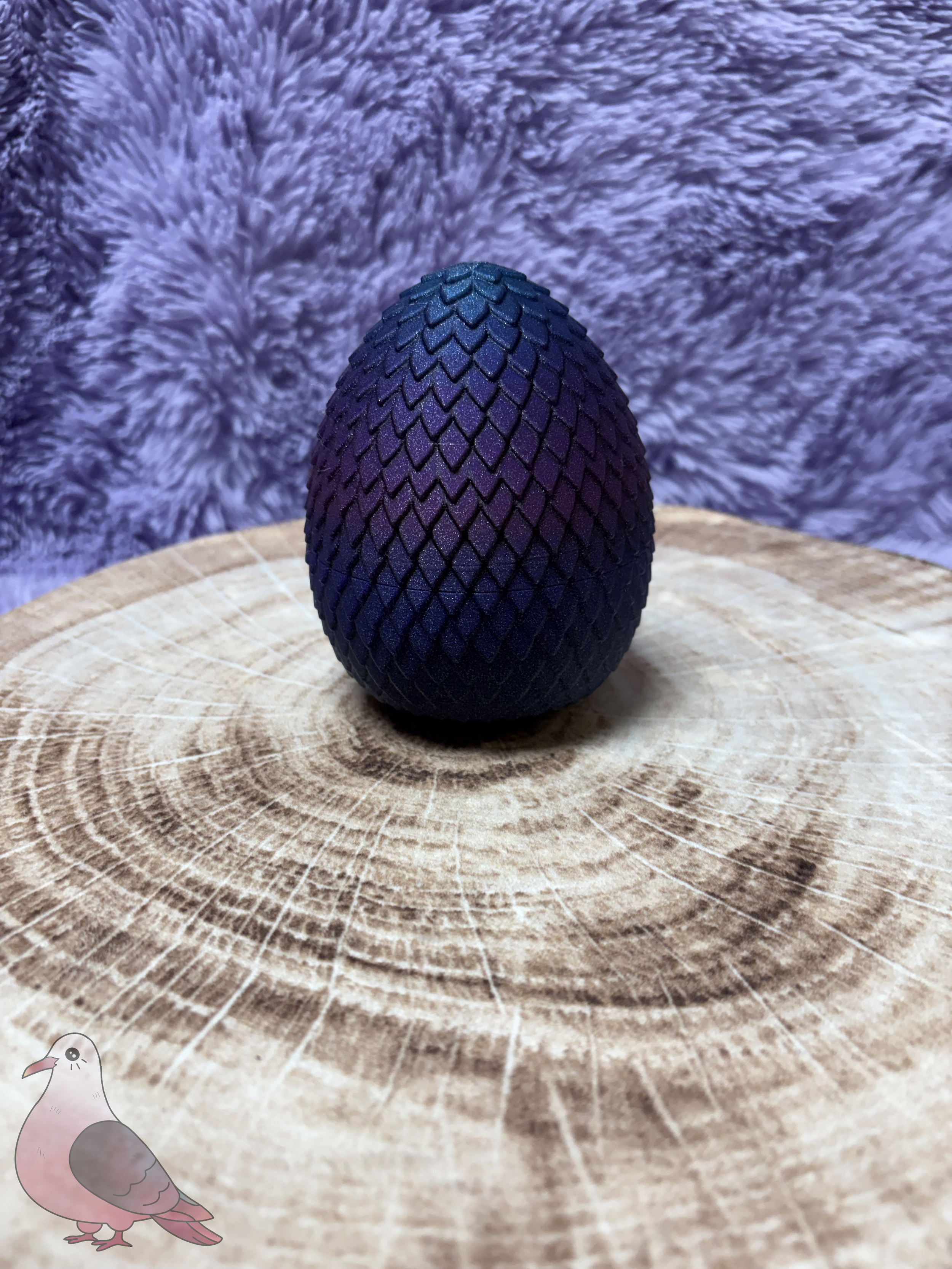 IMG_4884.png