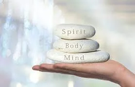 Wellness Consultation