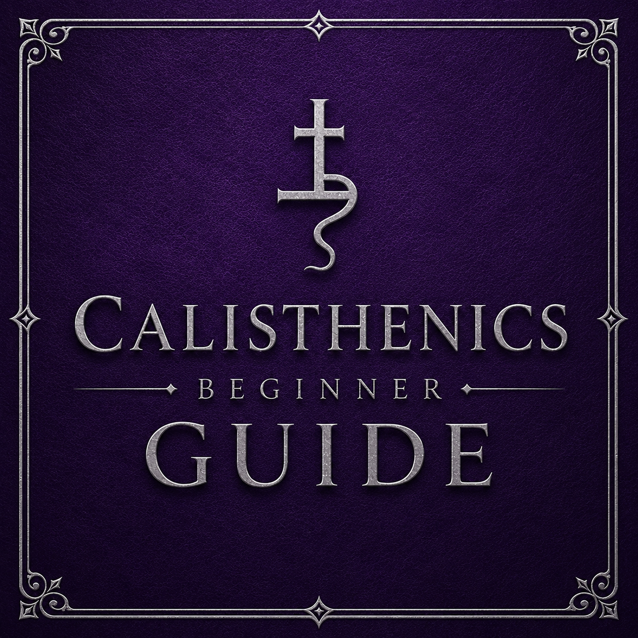 Calisthenics Beginner Guide