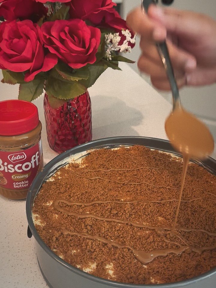 Summer Day 8: Biscoff Cheesecake, Creamy Shrimp Rigatoni, Game 7 &amp; Good Vibes.