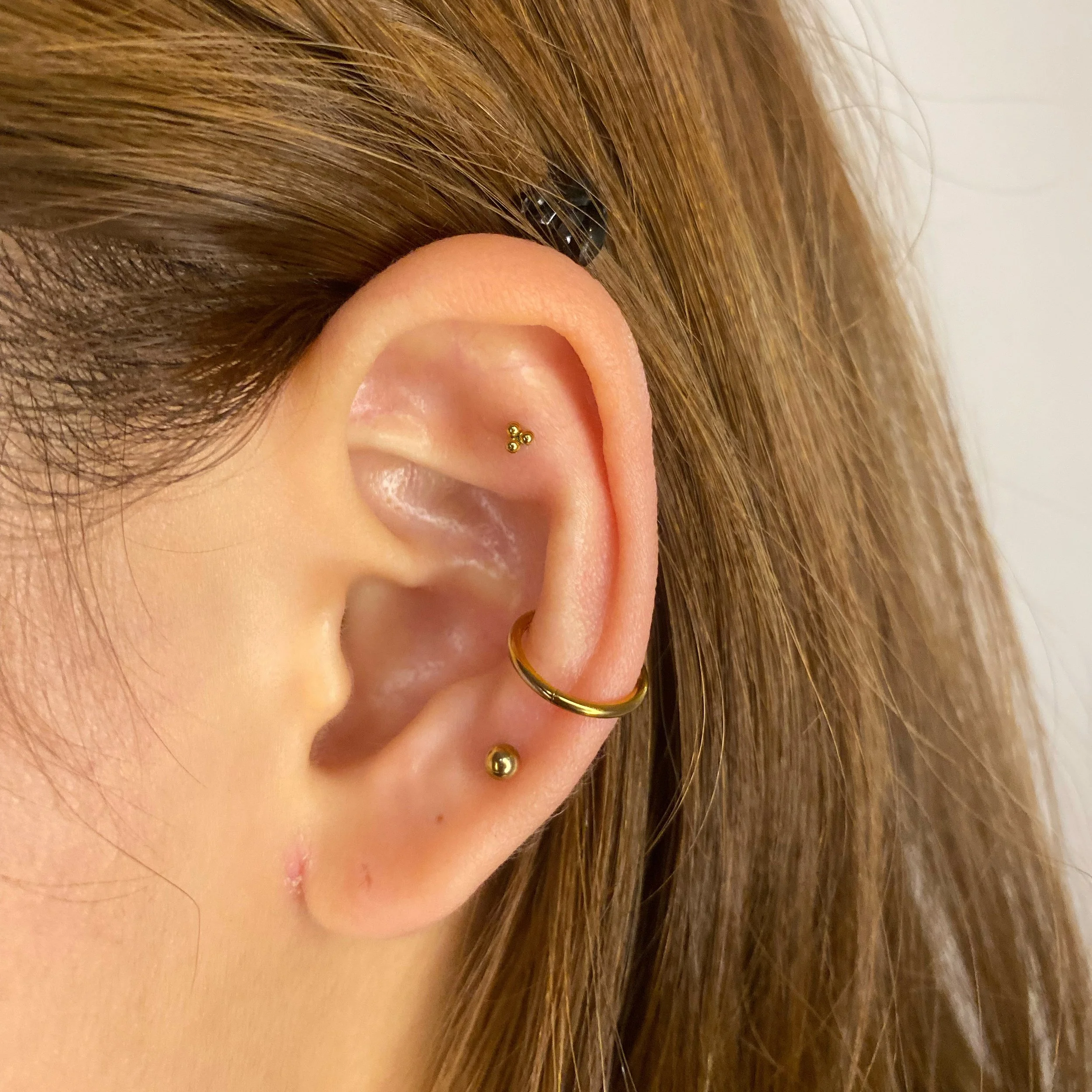 Flat, Conch and Third Lobe combo