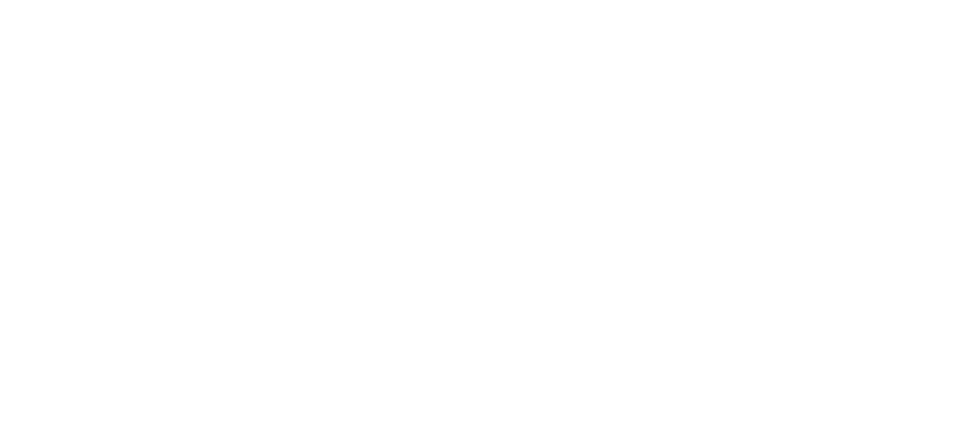 Vander Amsterdam logo in white