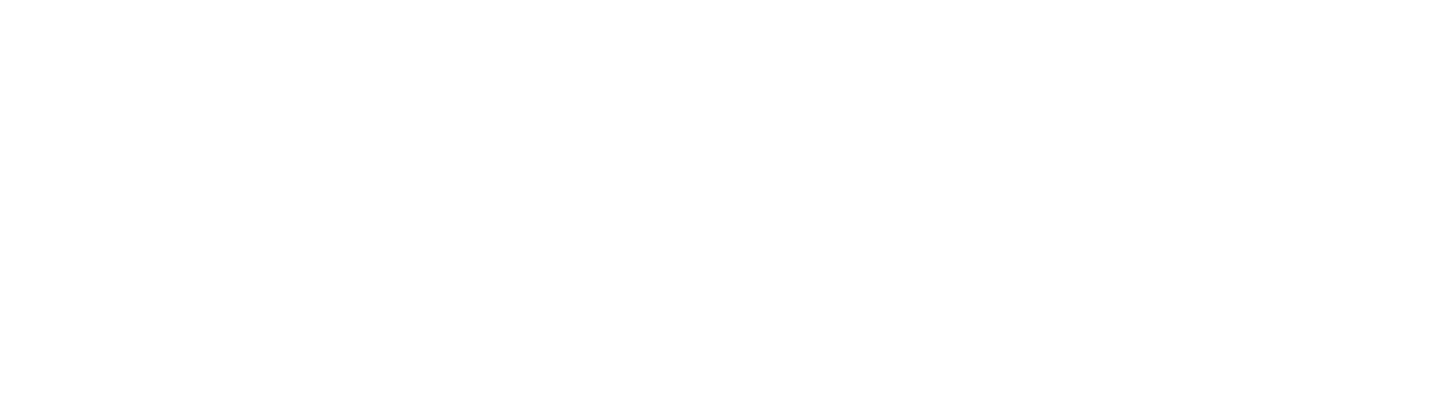 ZSISKA logo white