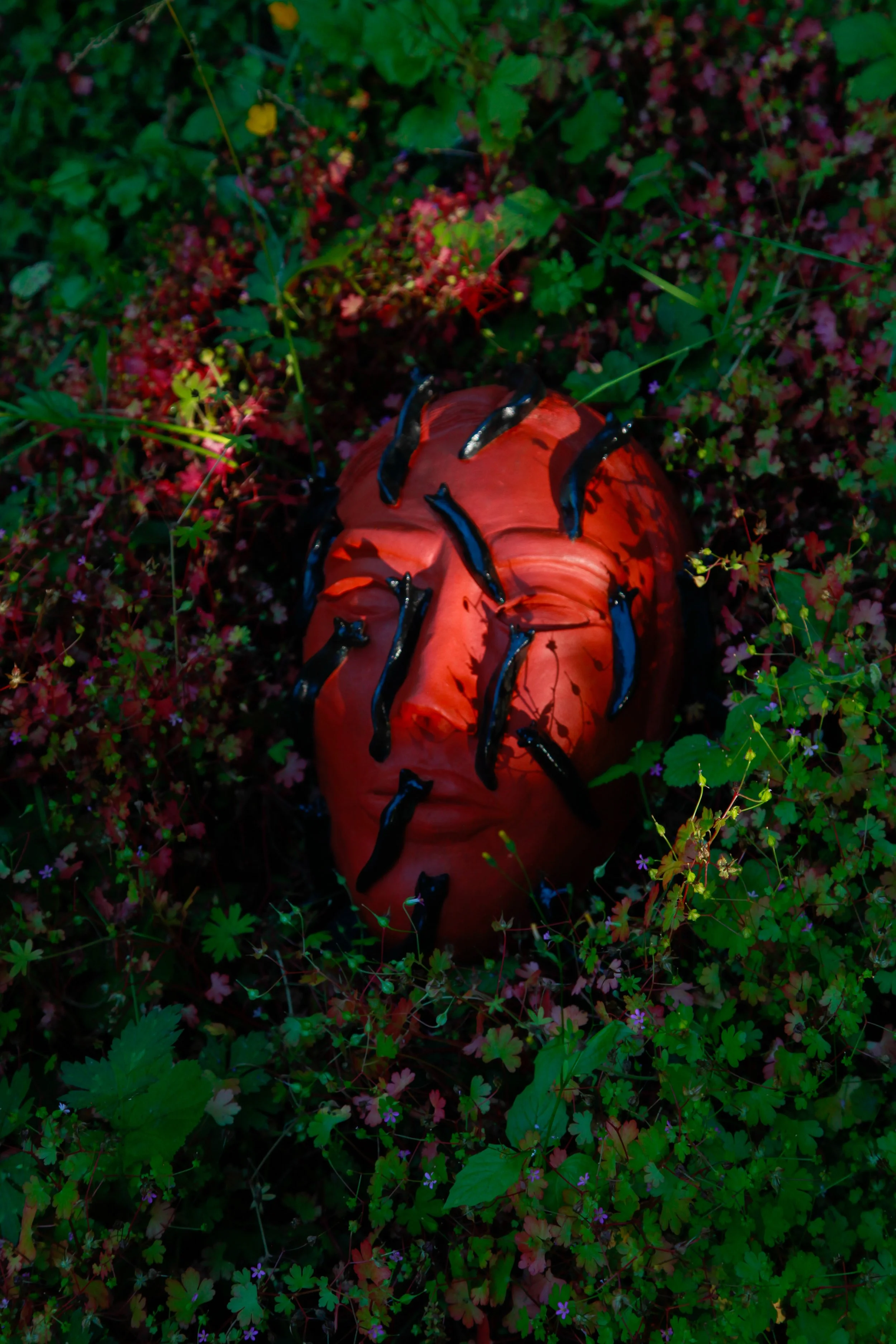A model with a red face and black hair lying in a bed of green plants and colorful flowers, with black worms crawling on the face.