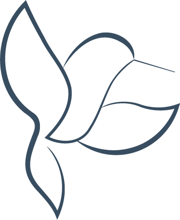 Line art illustration of a hummingbird