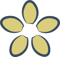 Yellow flower - Edie Schatz therapy practice
