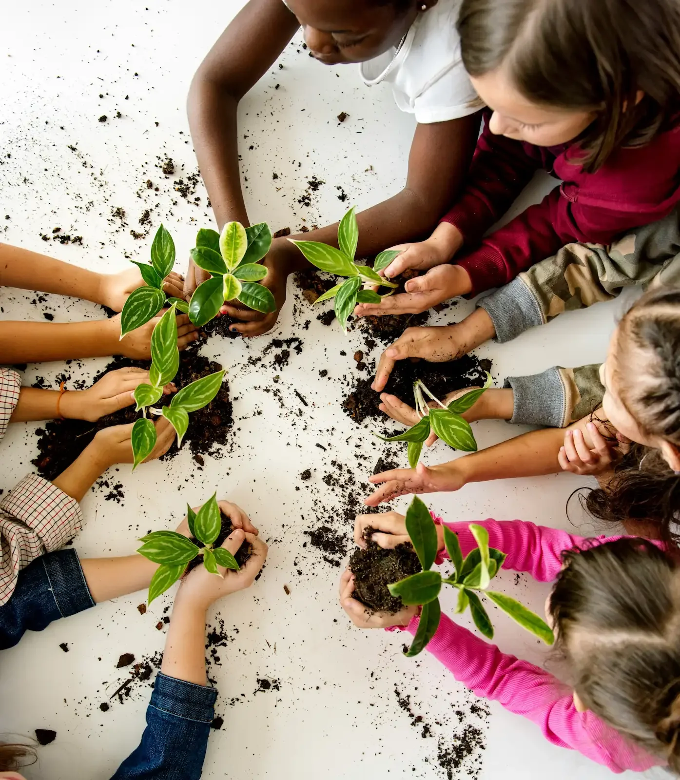 Children on ground holding green leafy plants in hands