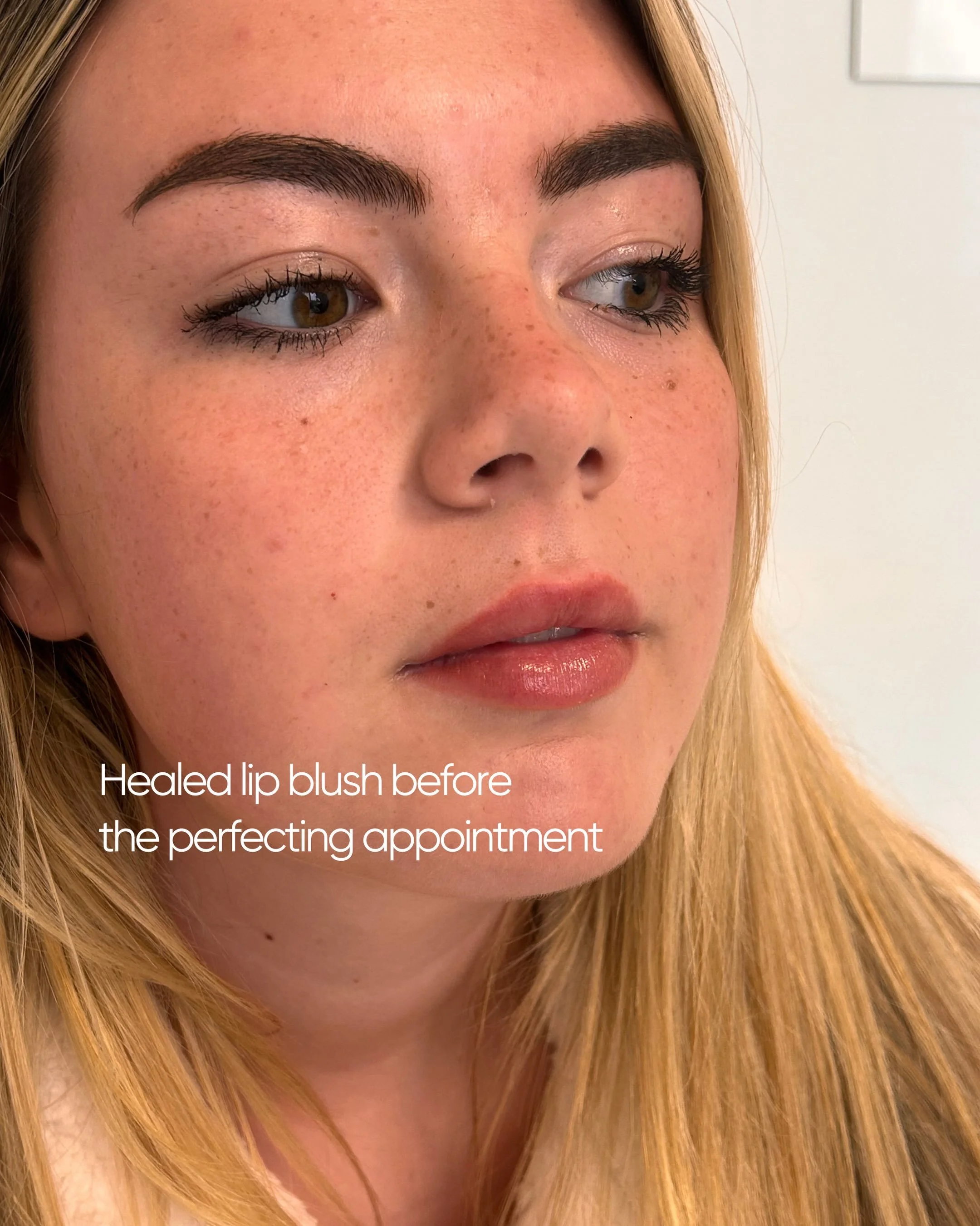 A little look at a lip blush perfecting appointment 🤍

The first appointment creates the initial shape and colour, then once healed, the perfecting appointment allows us to refine the shape and build up the colour where needed.

This client came bac