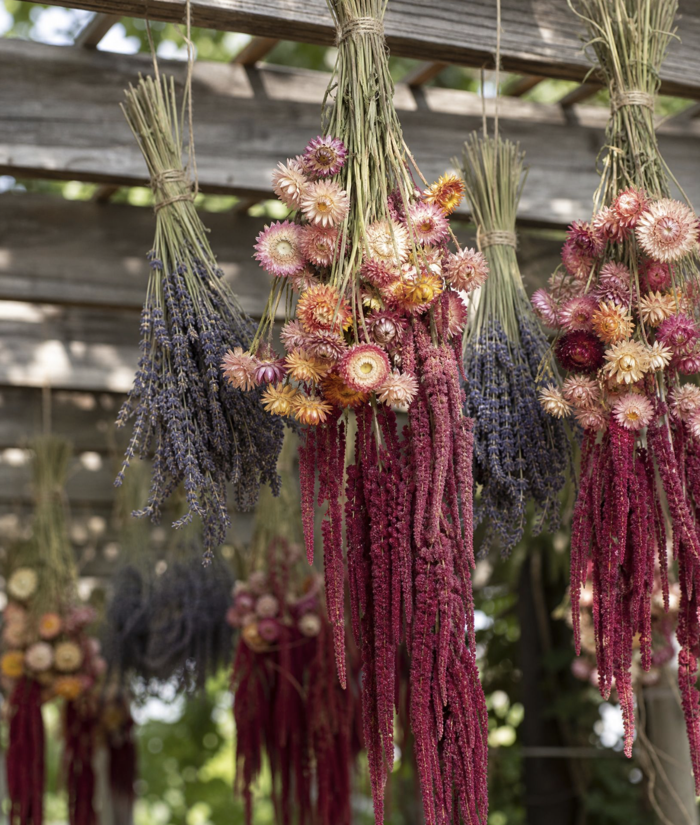 How to Arrange Dried Flowers (and Which Ones Last)
