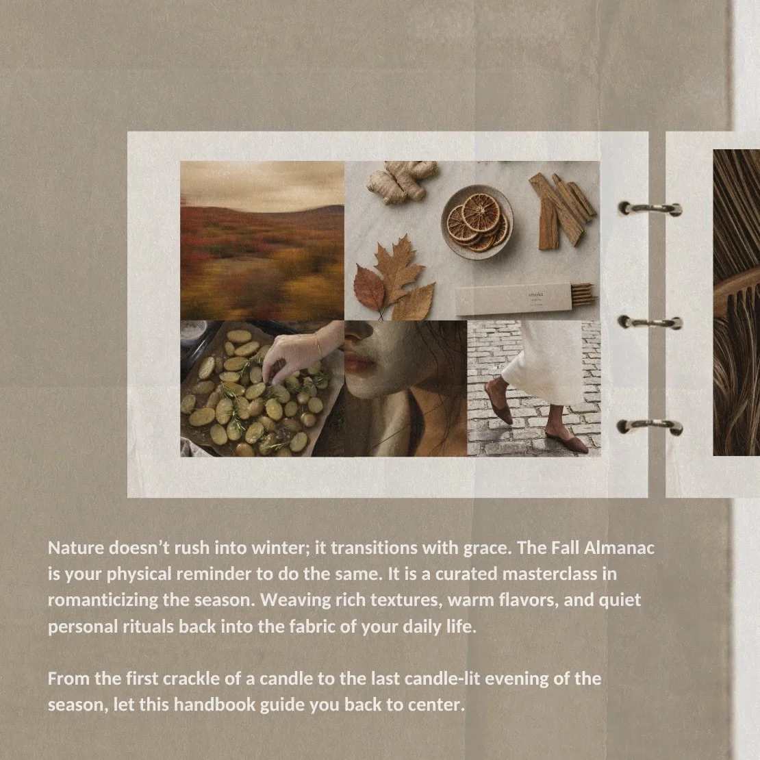 Fall Almanac Email (1) 4.jpg