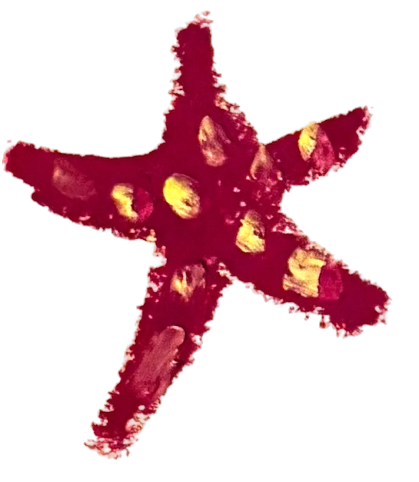 A red starfish with yellow spots on its arms.