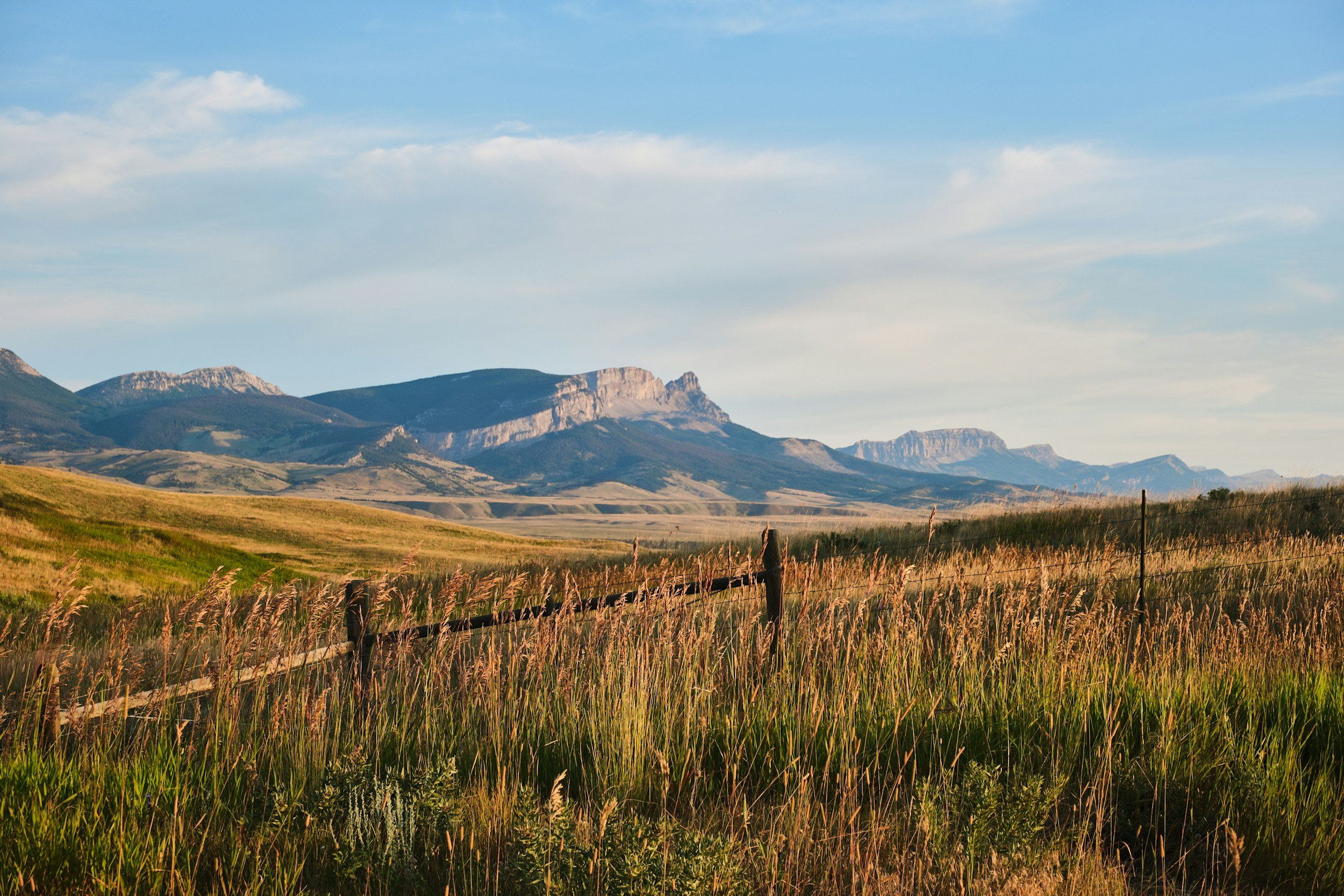 Open plains with tall grass leading to mountain ranges under a blue sky with some clouds.