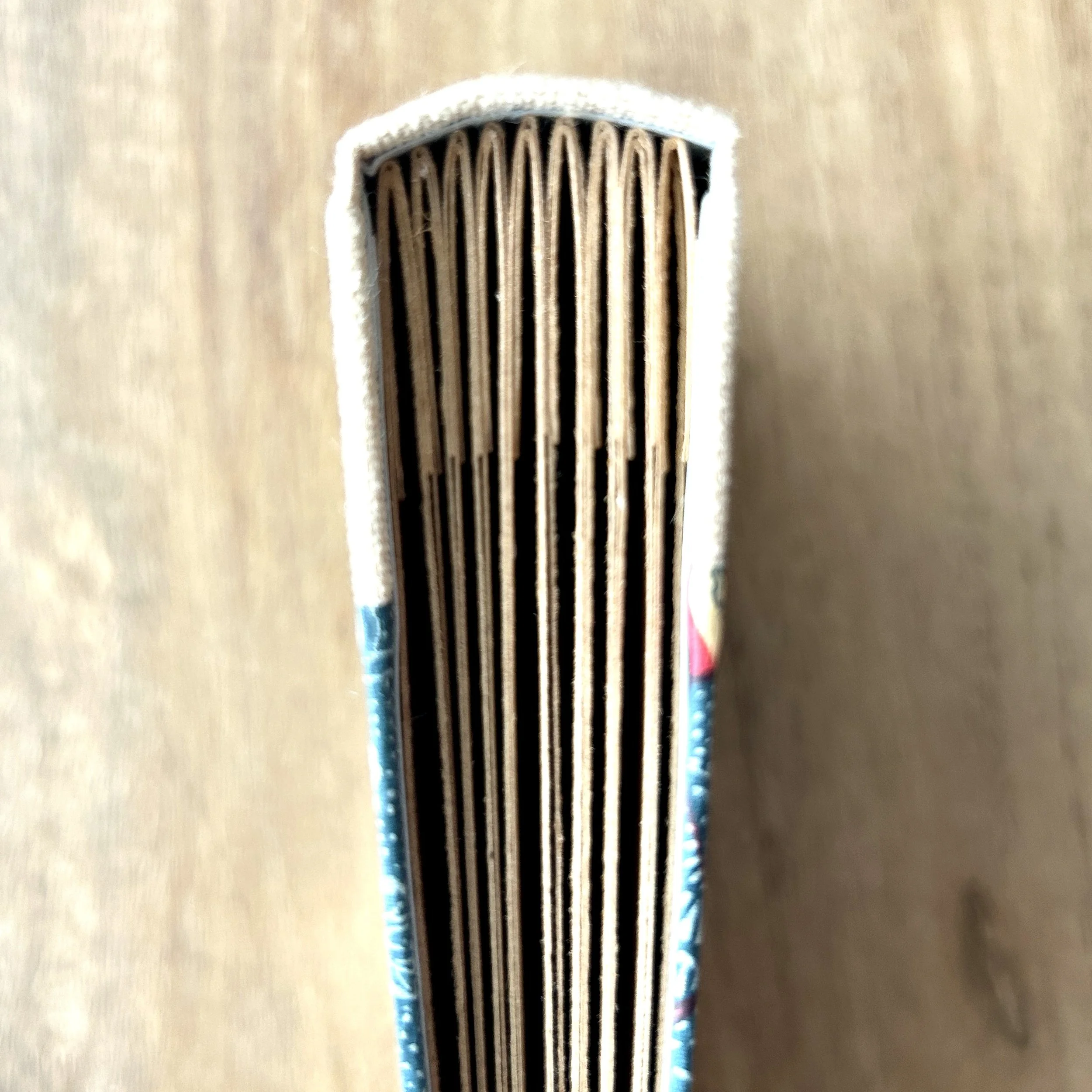 SLP_journals_013.jpg