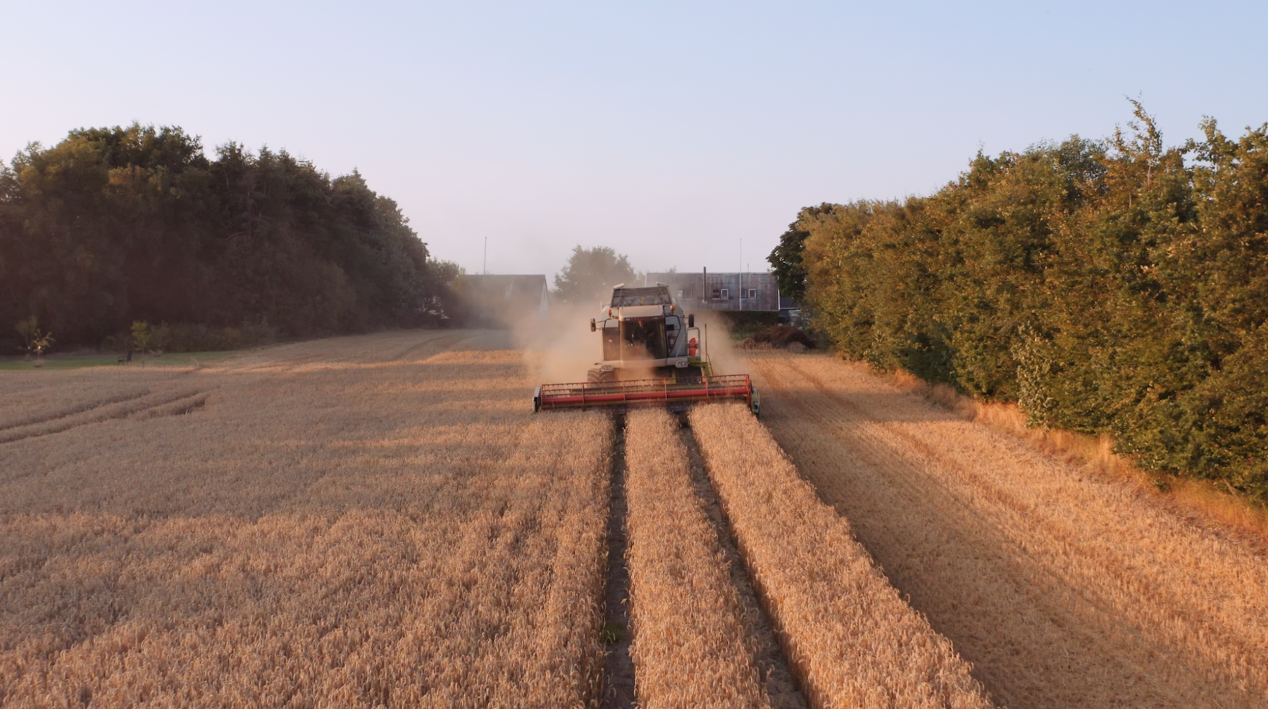 Image of a tractor-style machine in a field of wheat doing farmwork