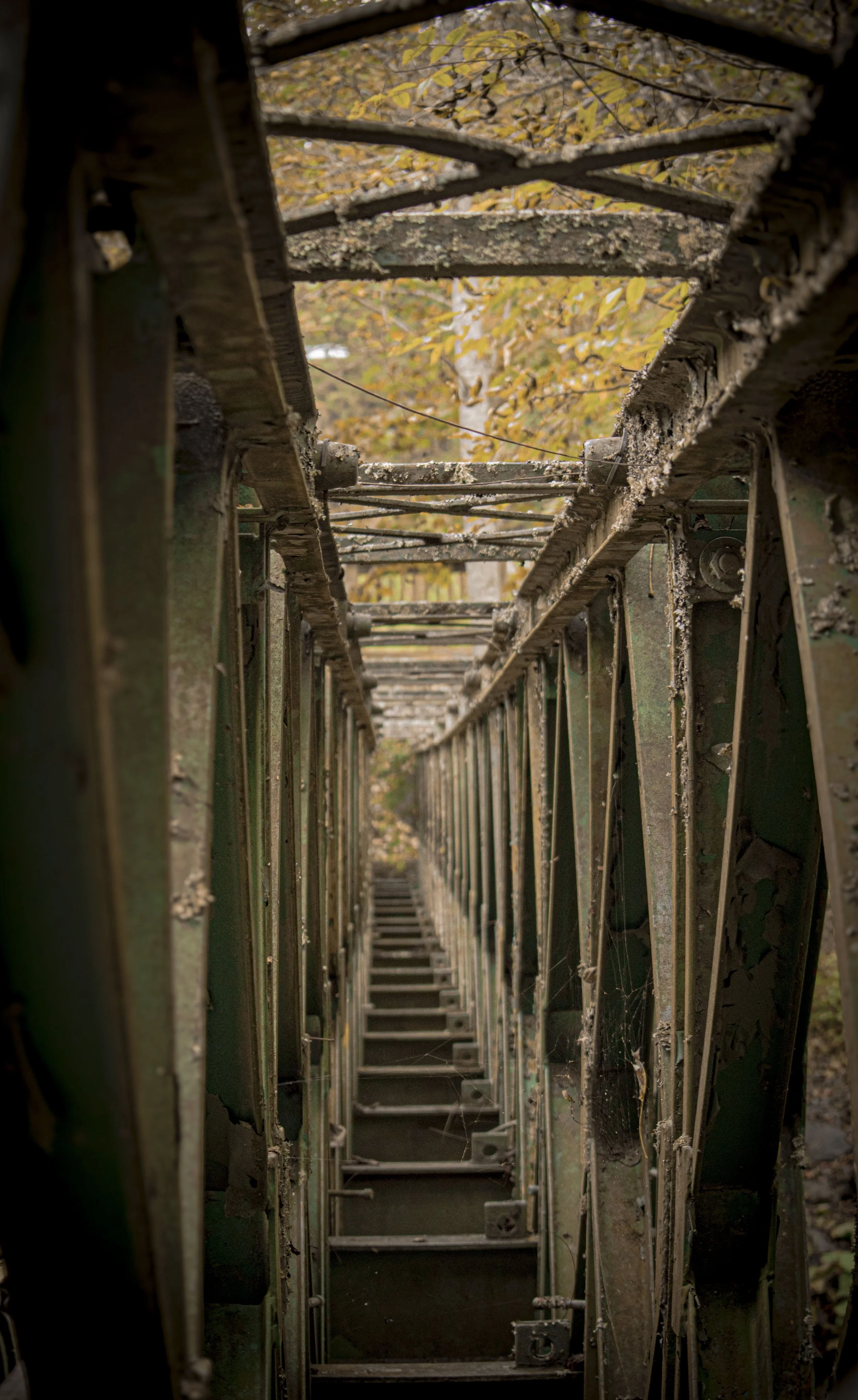 View through the abandoned, rusty, metal structure of a bridge or walkway with fallen leaves and trees visible in the background.