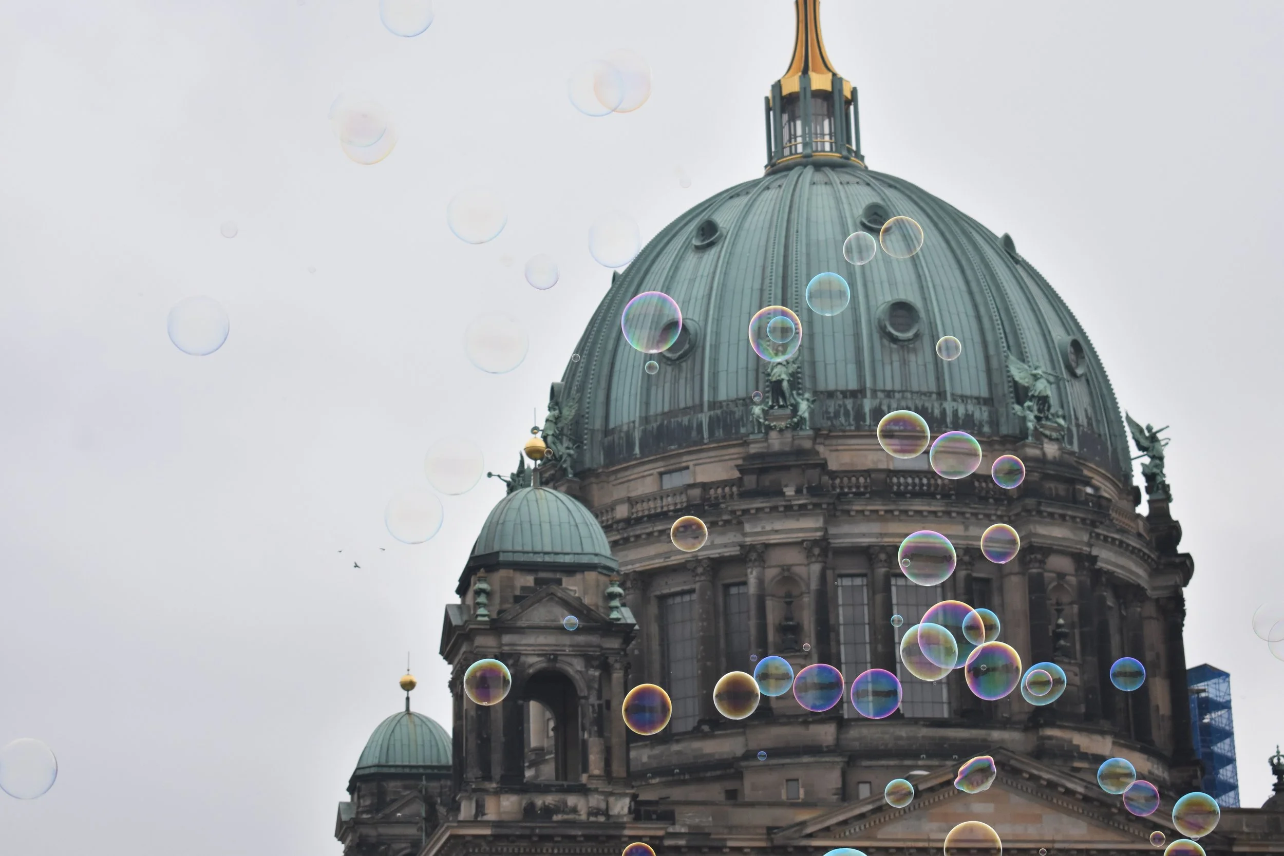 DSC_1021.jpeg