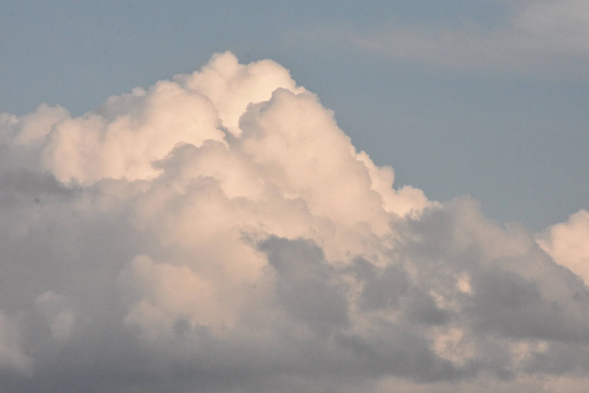 DSC_0899.jpeg