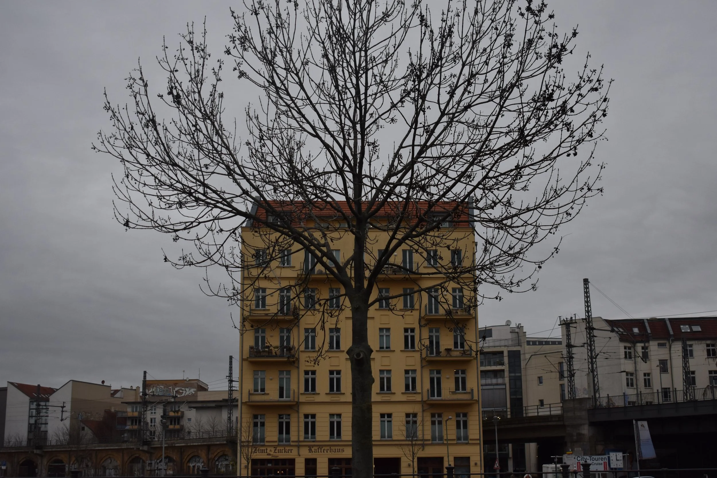DSC_0883.jpeg