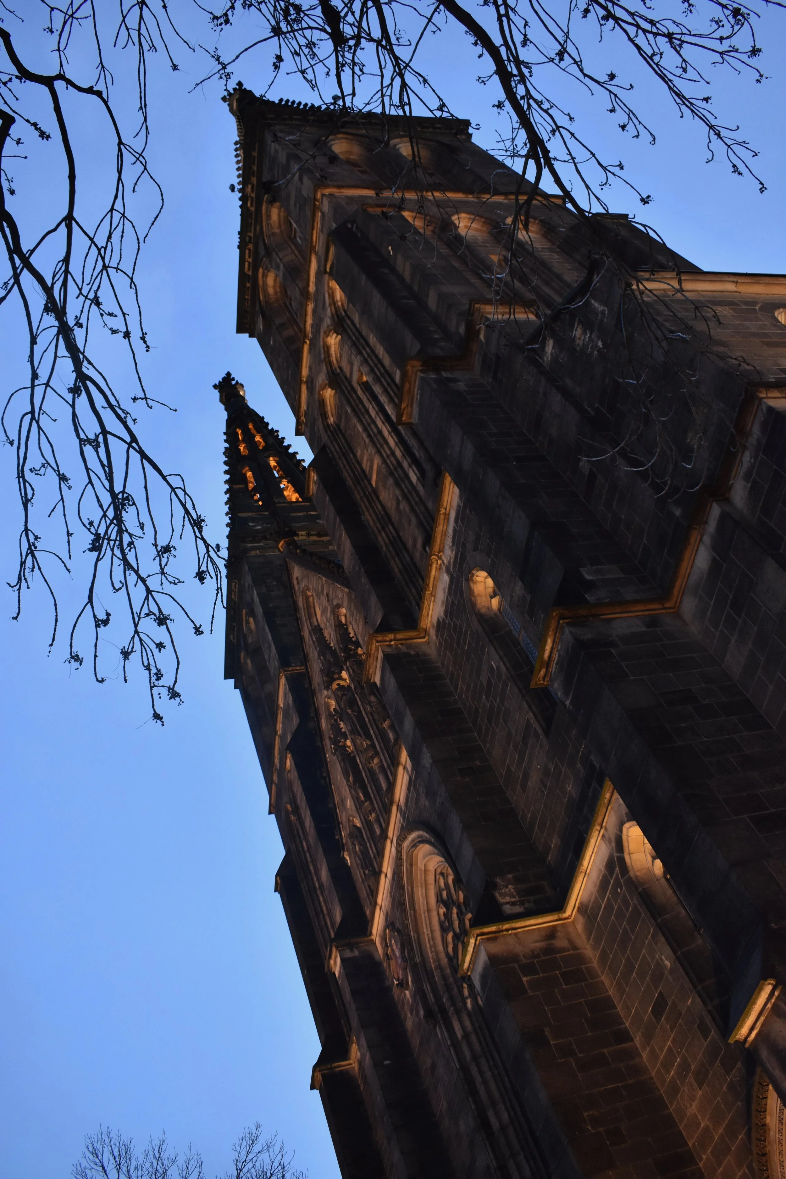 DSC_0739.jpeg