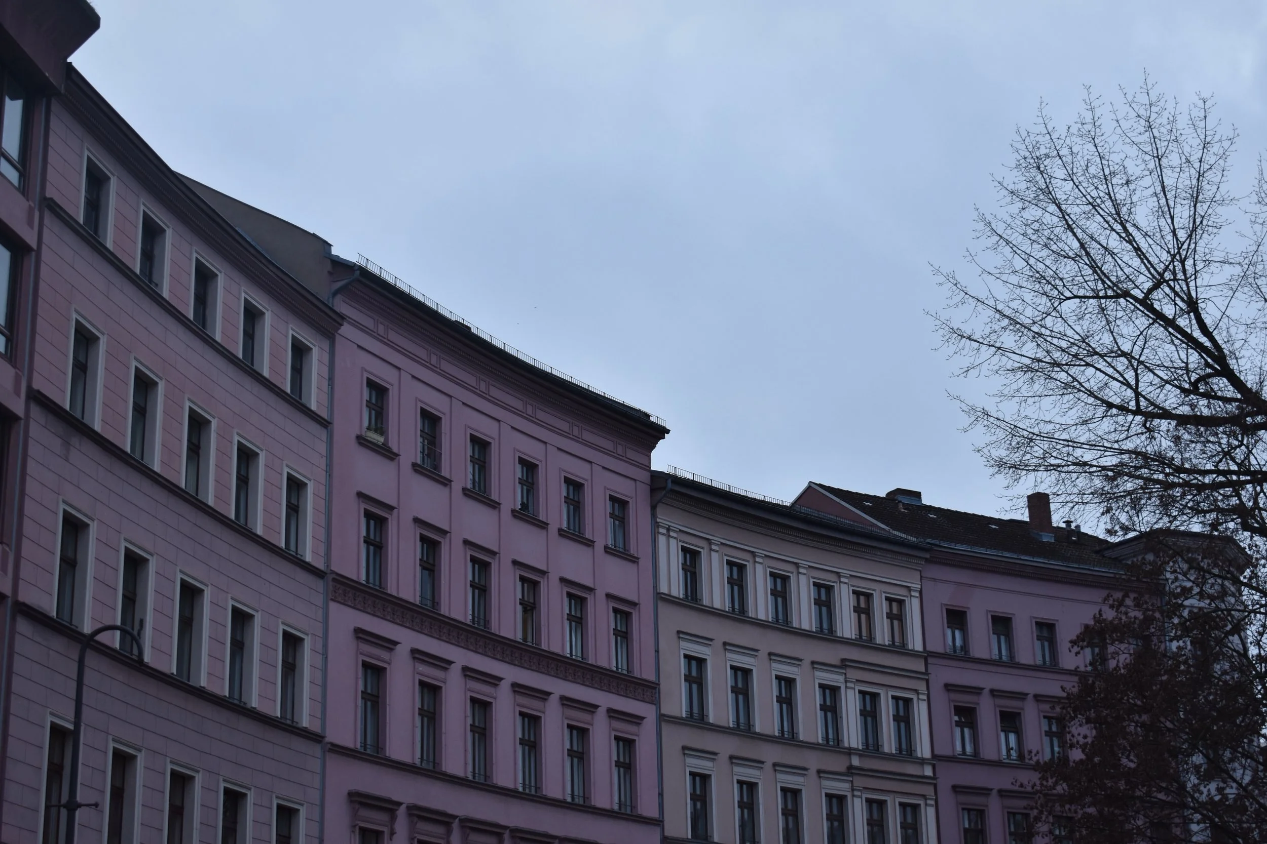 DSC_1100.jpeg