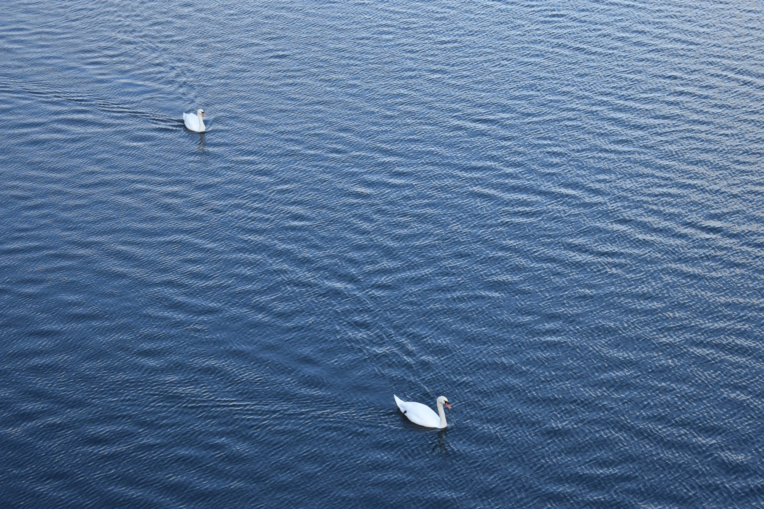DSC_0861.jpeg