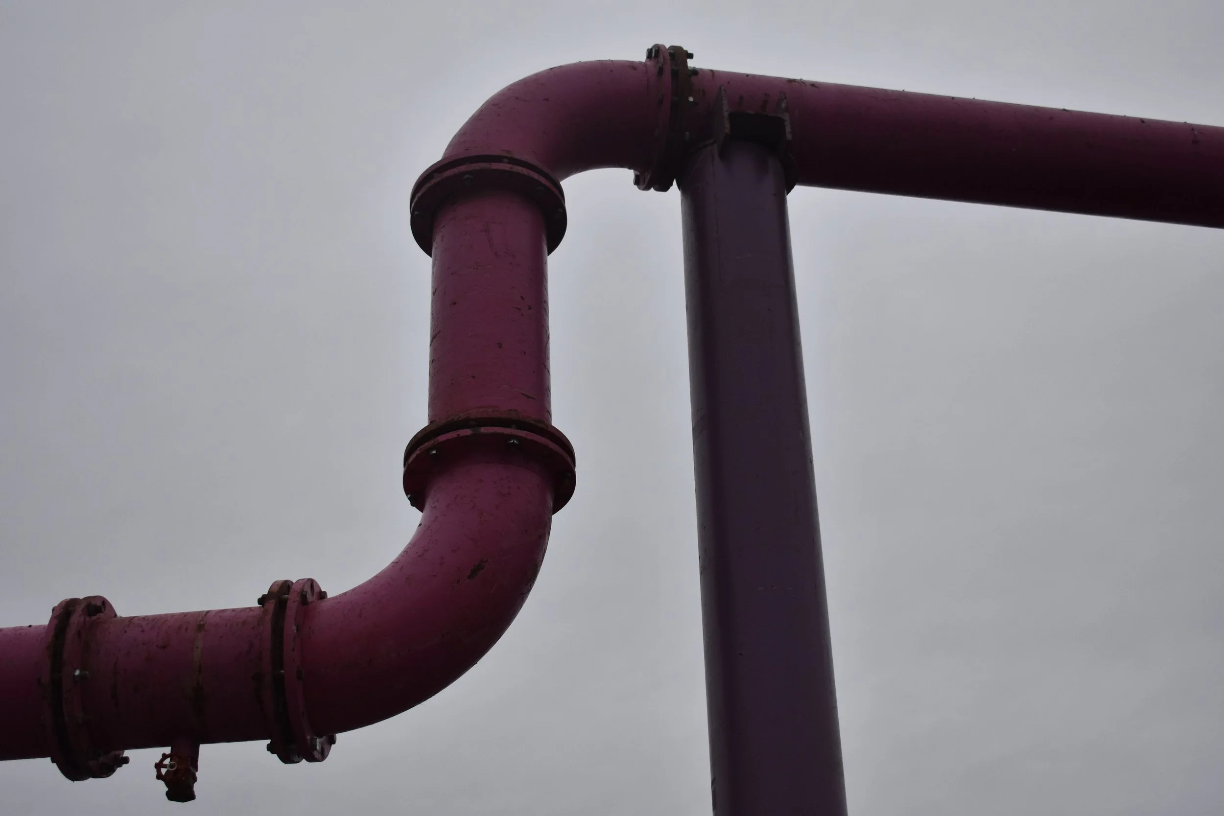 DSC_0881.jpeg