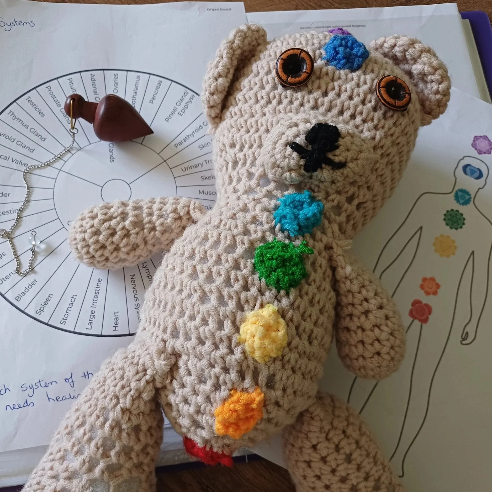 A crocheted teddy bear with button eyes, black embroidered nose and mouth, decorated with colorful crochet flowers along its body, placed on a printed paper with human anatomy diagram, and some educational materials and jewelry nearby.