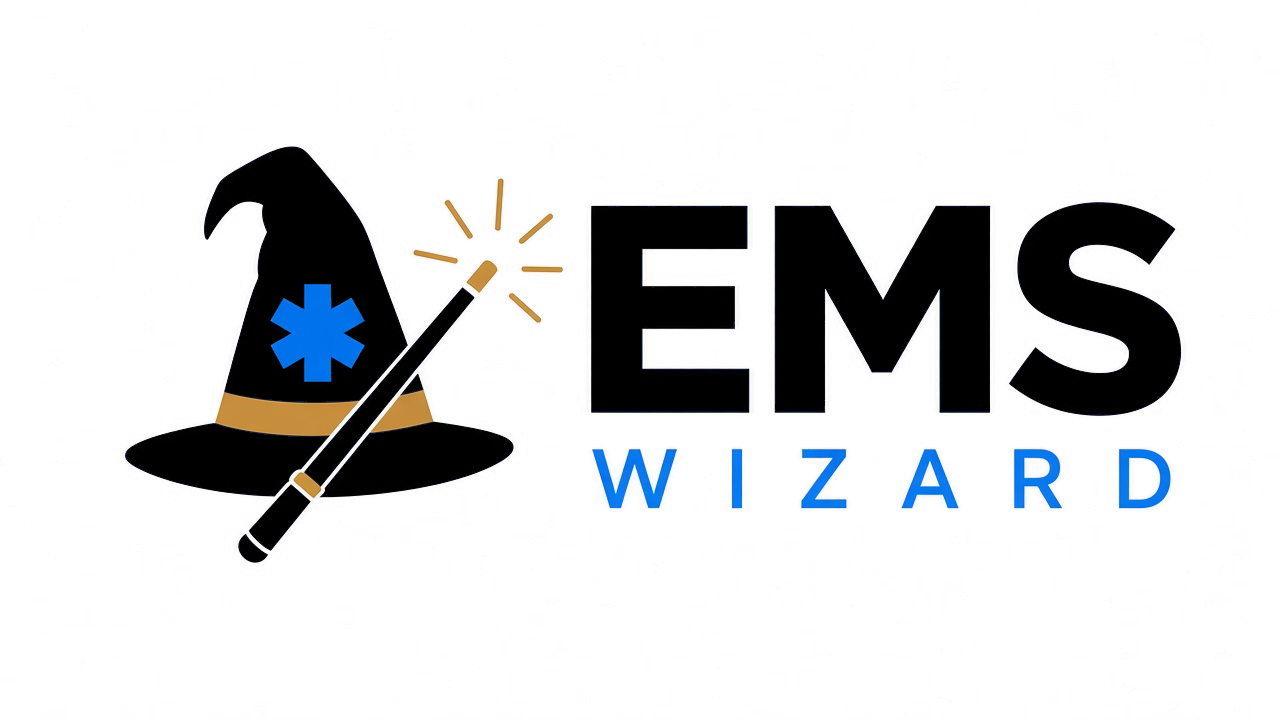 EMS Wizard logo