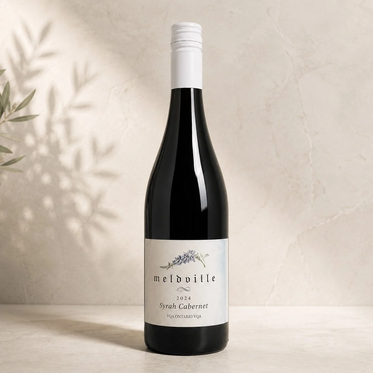 Syrah Cabernet 2024