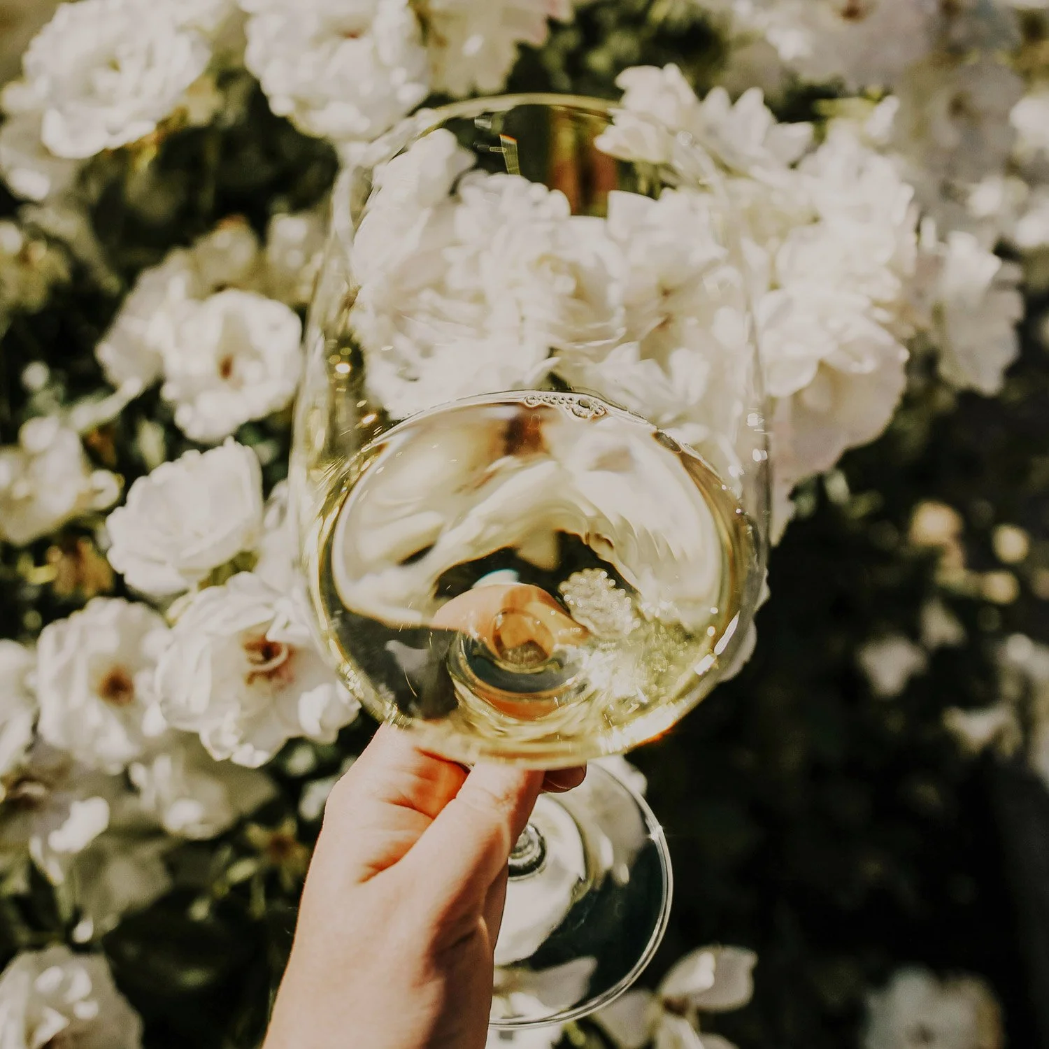meldville-wines-social-post-wine