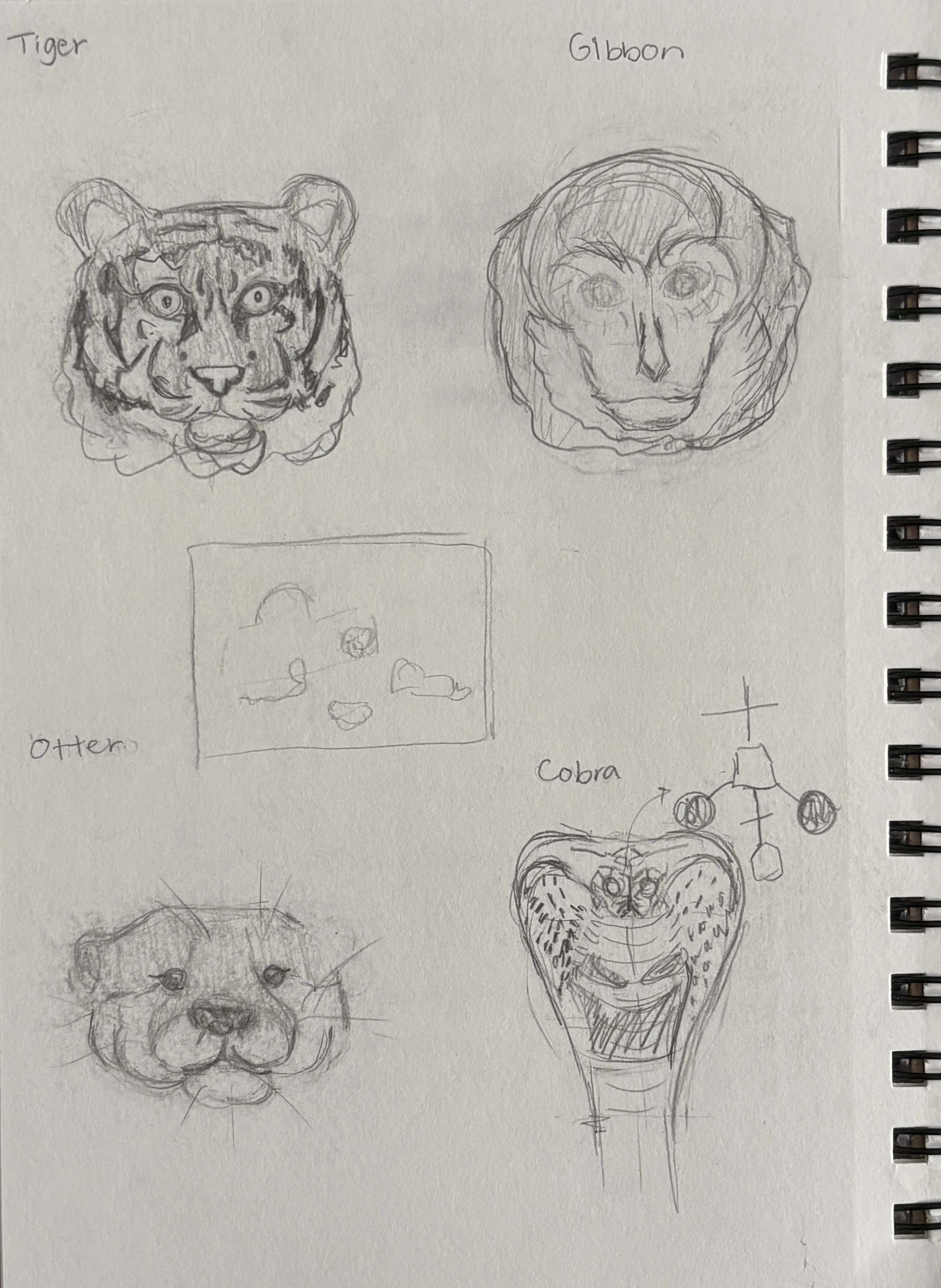 Hand-drawn sketches of the animal graphics.