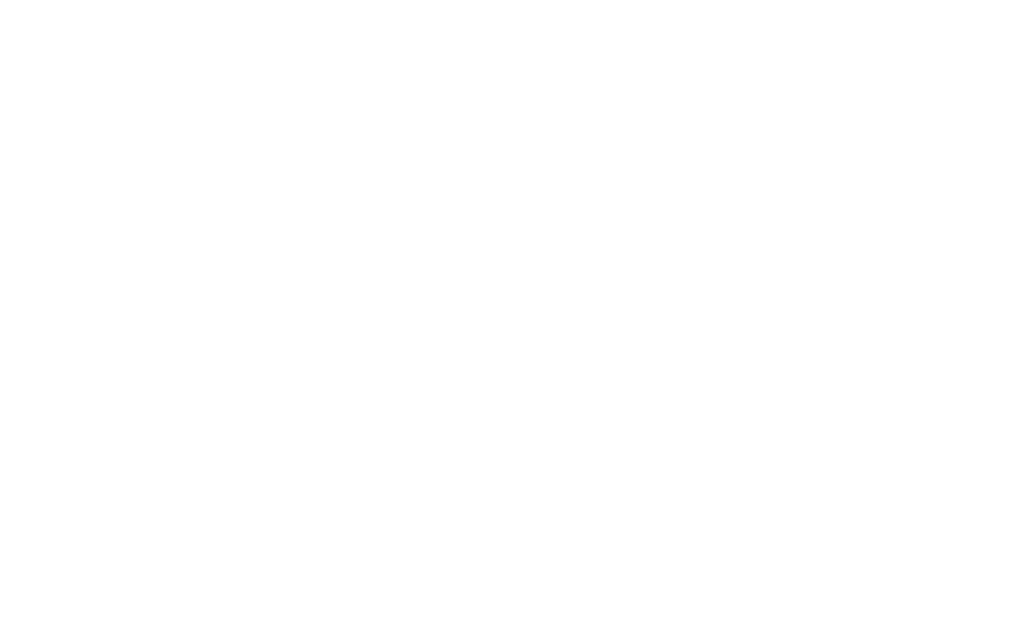 Logo de Paillettes INC