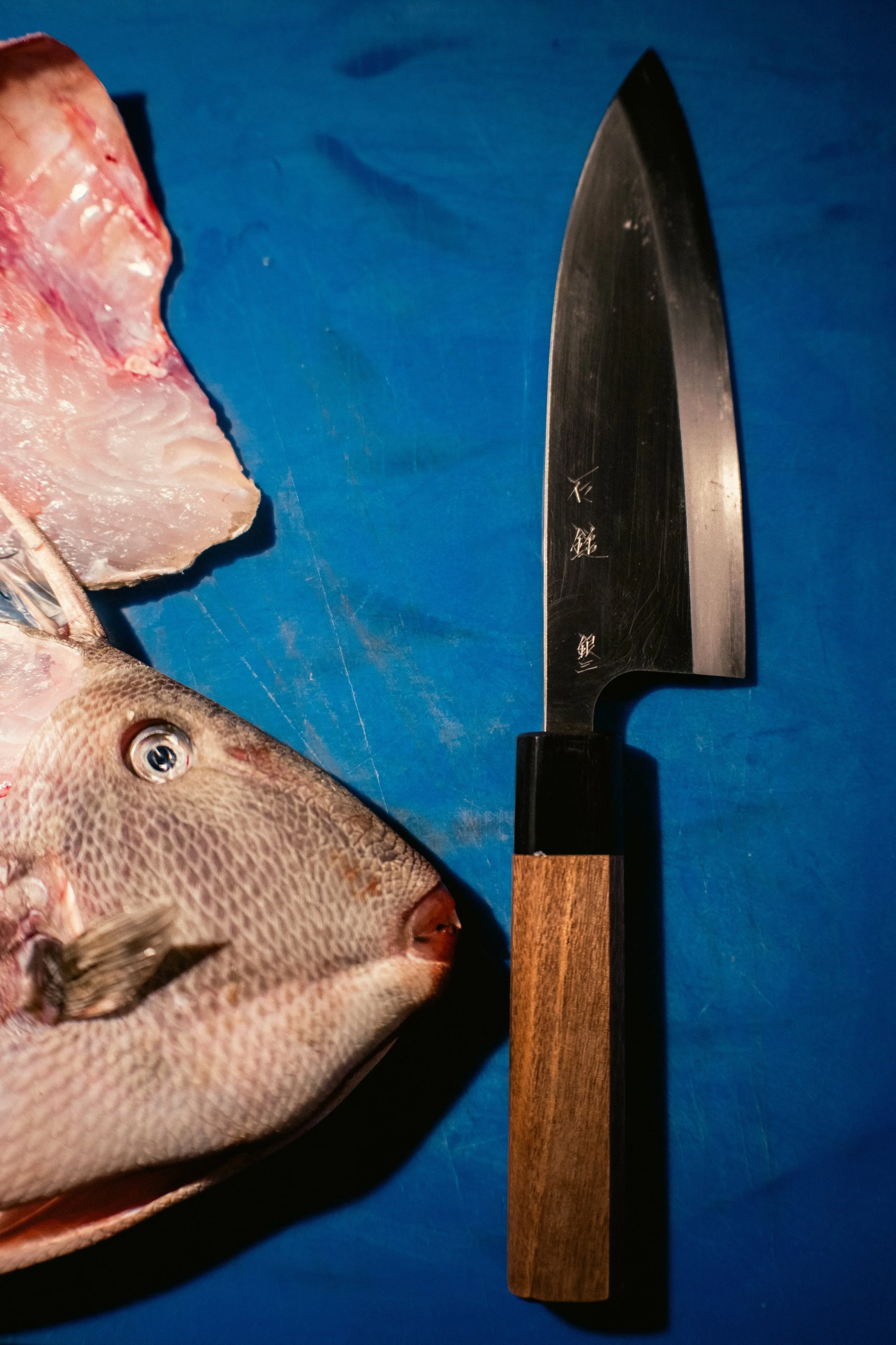 pesce palla coltello giapponese