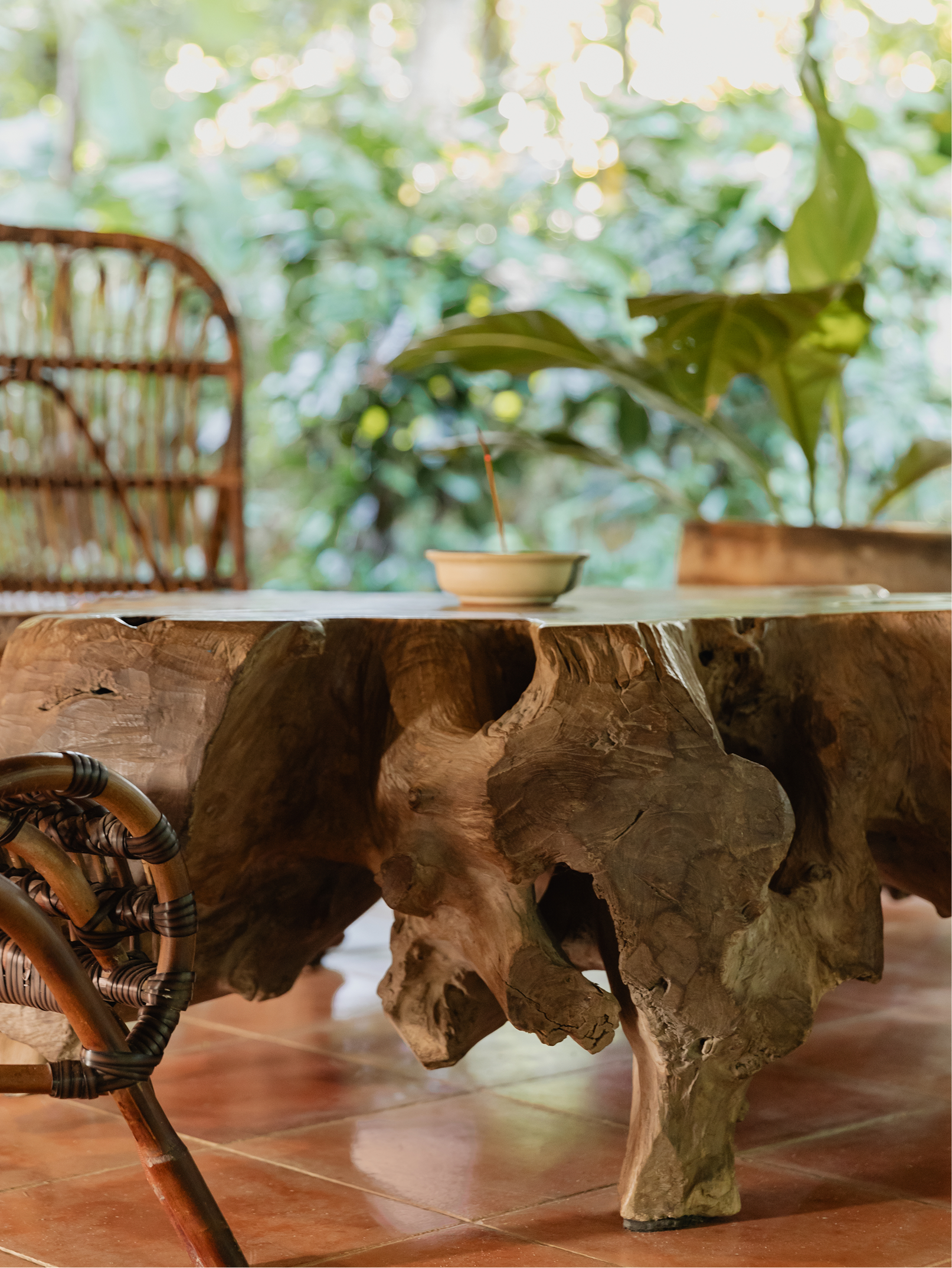 Close-up of a rustic wooden table with a small bowl and wooden chopsticks, surrounded by green plants in the background, and part of a wicker chair in the lower left corner.
